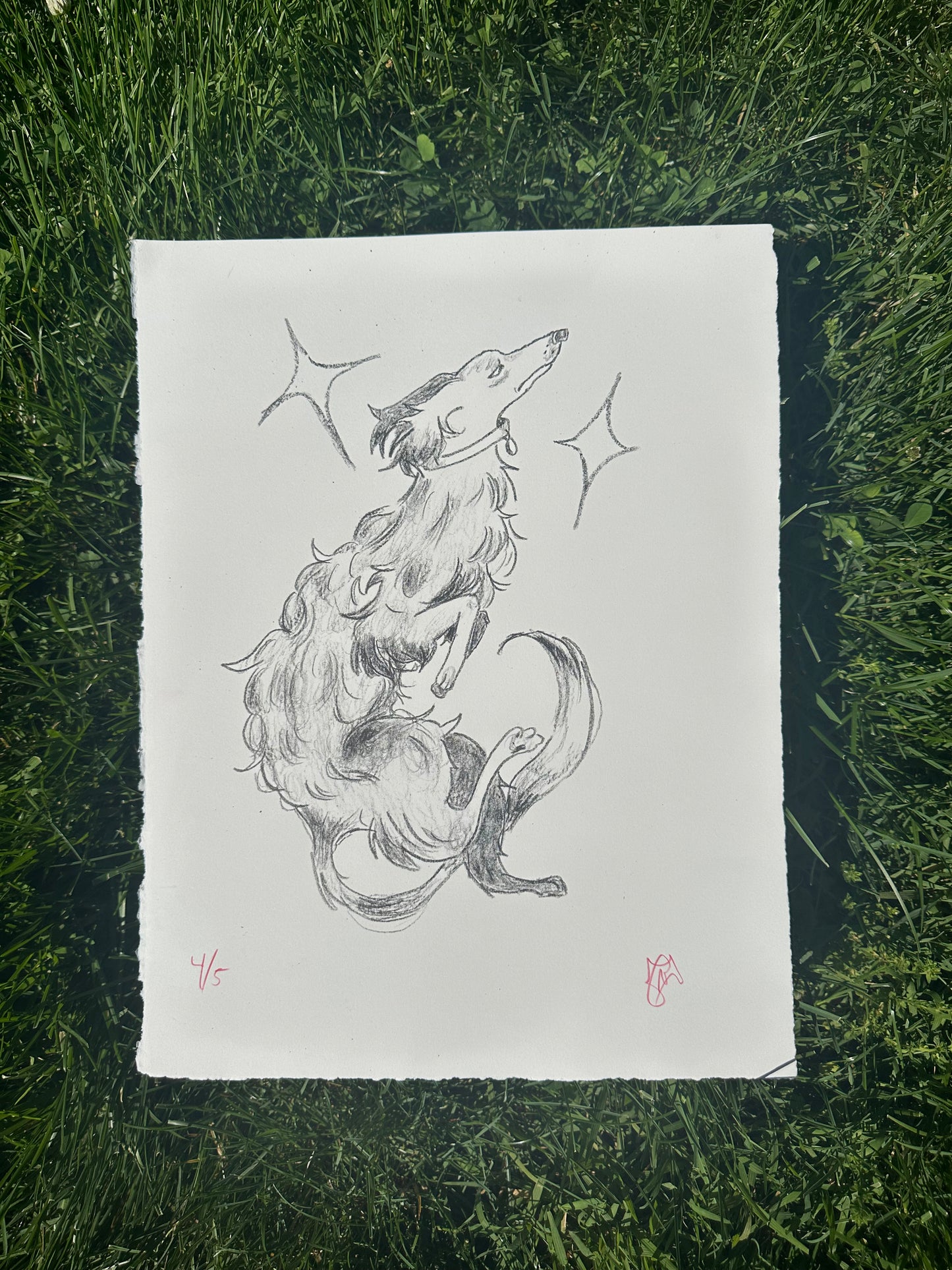 Borzoi Litho Print