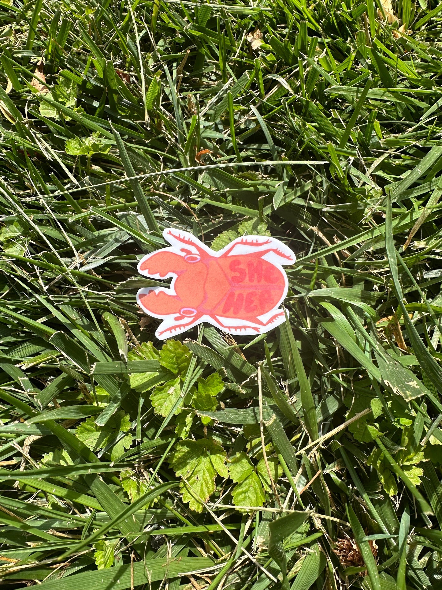 Bug Pronoun Pin