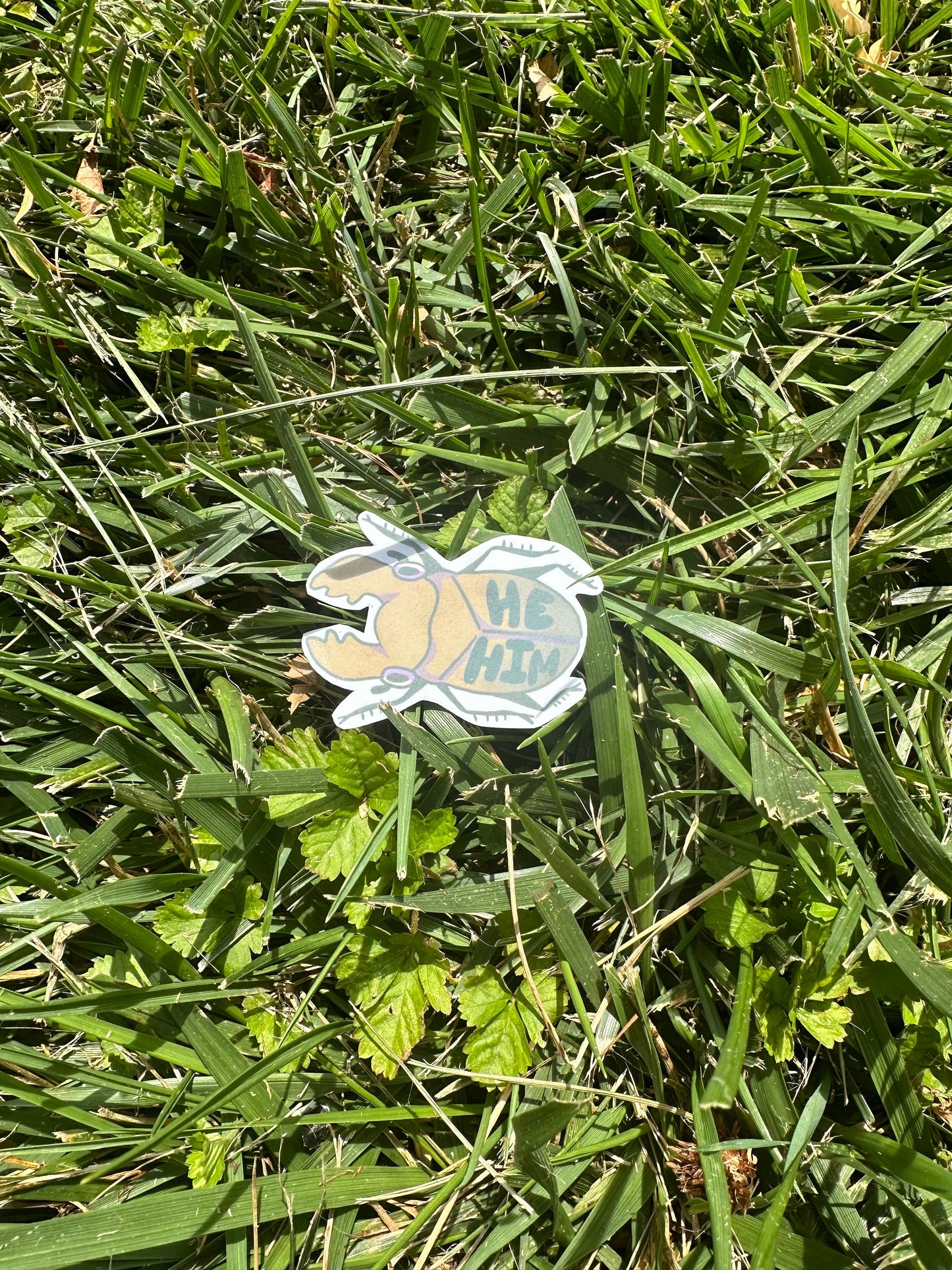 Bug Pronoun Pin