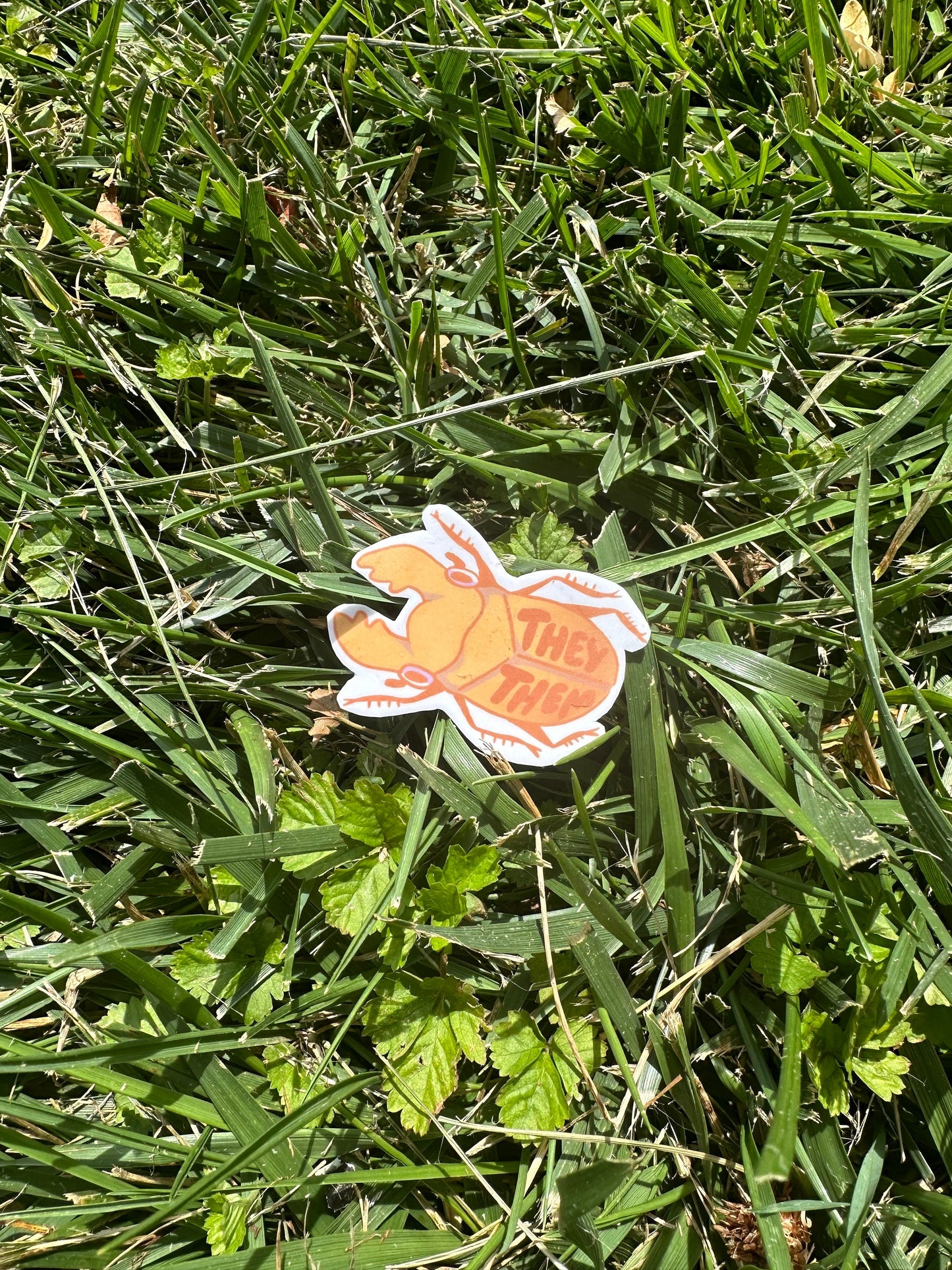 Bug Pronoun Pin