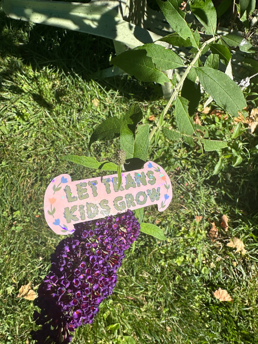 Let Trans Kids Grow Holographic Sticker