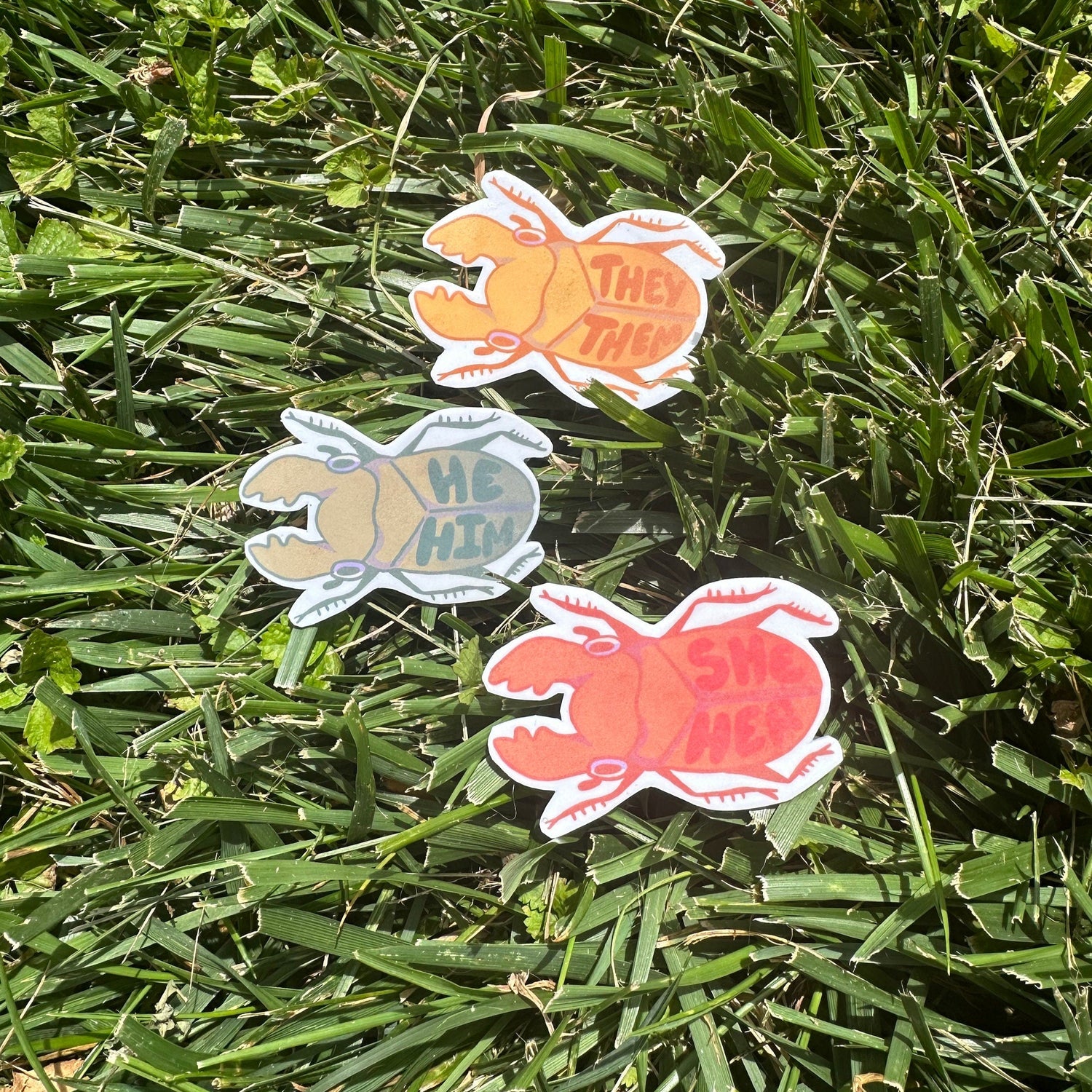 Bug Pronoun Pin